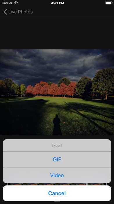 Live Photo Gif Video screenshot 4