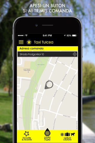 Taxi Tulcea screenshot 2