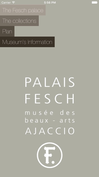 Museum Fesch