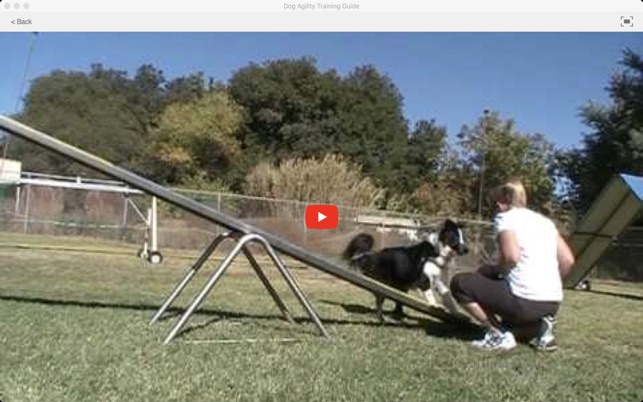 Dog Agility Training Guide(圖3)-速報App