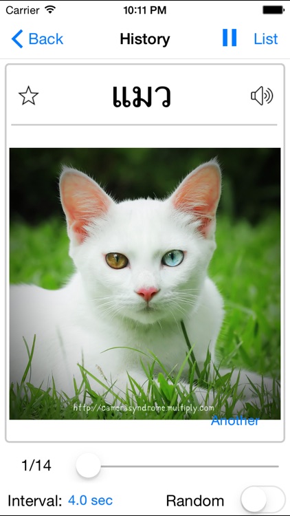 Thai English Dictionary Pro & Offline Translator screenshot-3