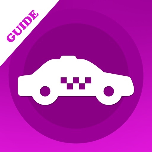 Guide for Lyft Icon