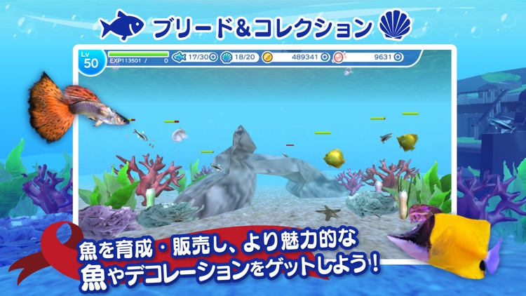 まったり癒し系無料アプリ - MyAquarium3D -