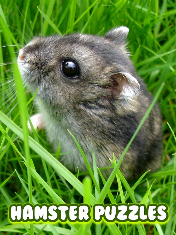 hamster puzzles