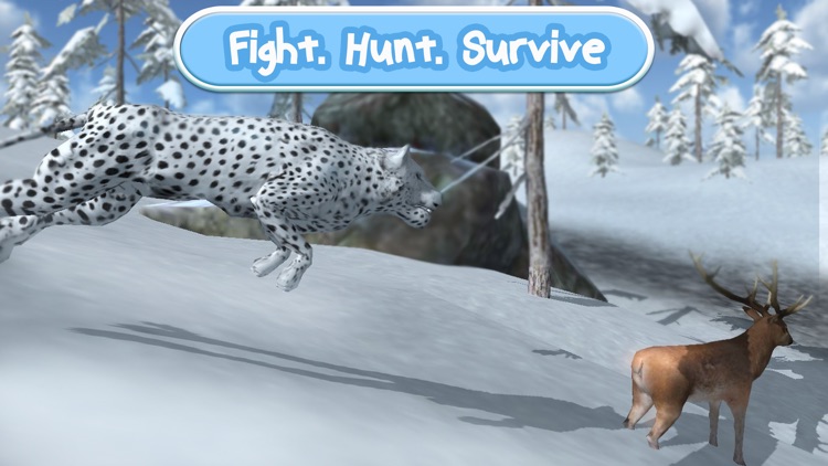 Wild Snow Leopard: Animal Simulator