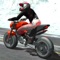 Icon Duceti Snowy Rider