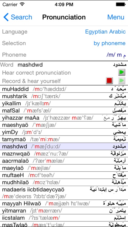Egyptian Arabic Dictionary screenshot-3