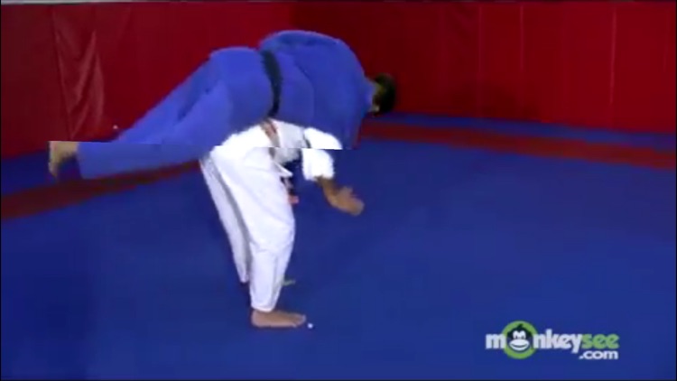 Judo Academy