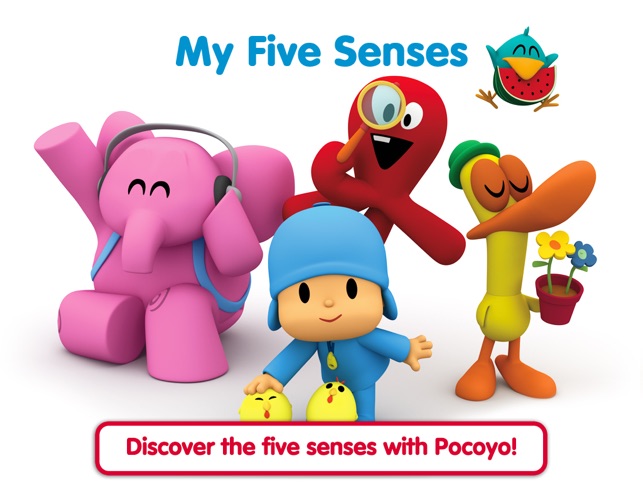 Pocoyo Playset - My 5 Senses