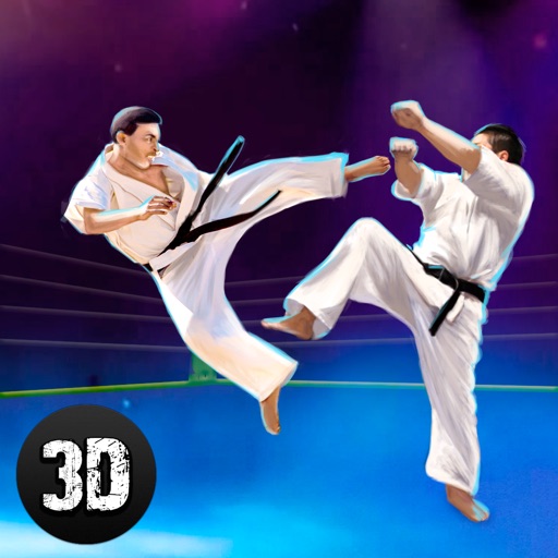 Karate Do Fighting Tiger 3D - 2 Full icon