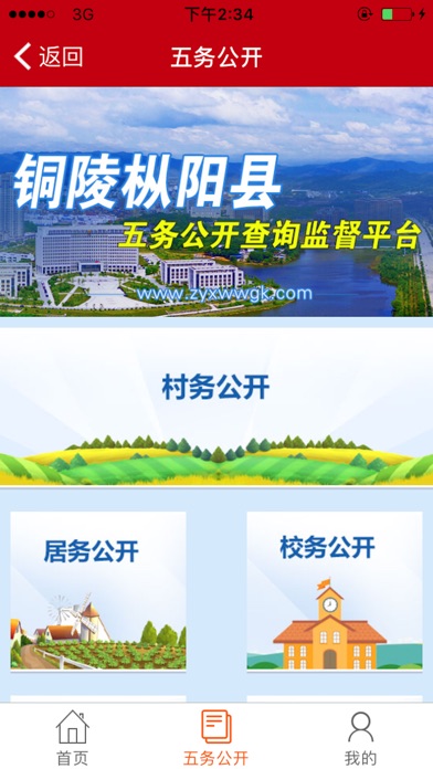 枞阳县五务公开平台 screenshot 3
