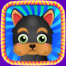 Activities of Puppy Celebration:Pet care game