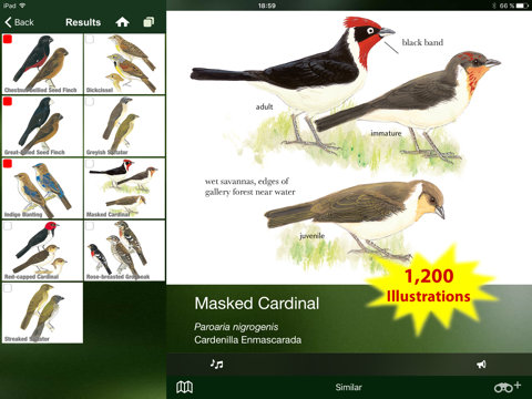 All Birds Trinidad and Tobago screenshot 3