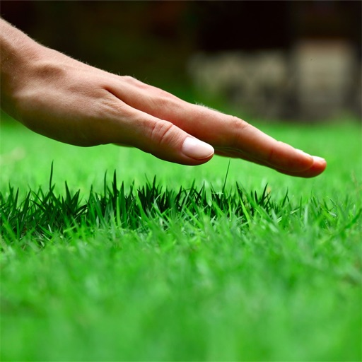 How to Grow Lawn:Maintain Guide and Tips icon