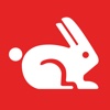 Rabbit for Google PageSpeed Insights web test