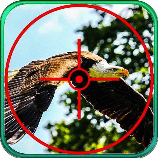 2016 Turkey Eagle Shooting Pro  - Shotgun Hunter icon