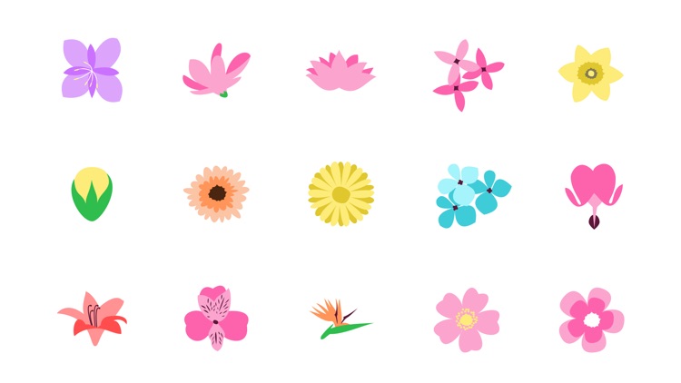Xinh Flowers