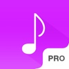 Musicly - Free Music Player and Unlimited Streamer