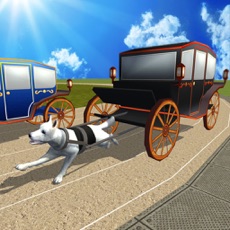 Activities of Dog Cart Race : sled dog race by driving  wagons