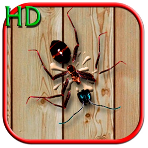 Ant Smasher Free - #1 ant tapping addicting Games icon