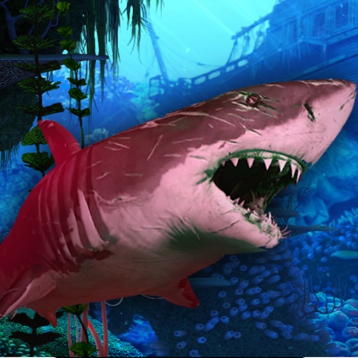 Hungry Shark Hunting Free Game icon