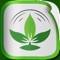 Enhance your health by living an organic lifestyle