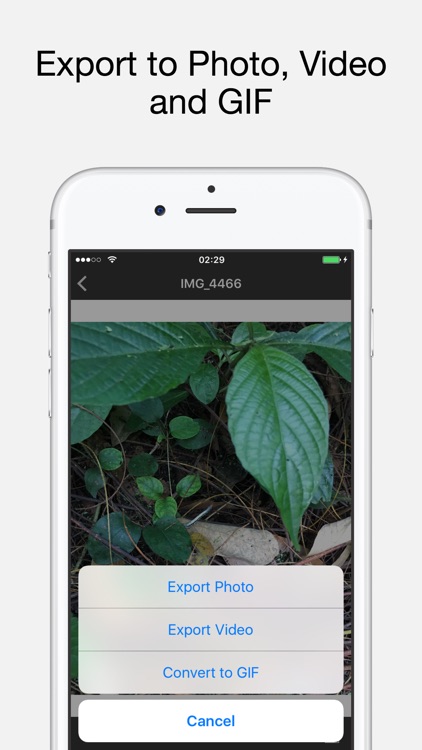 Live Exporter - Live Photo to GIF, Video and Photo