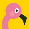 Hello Flamingo