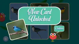 Game screenshot Birds mod apk