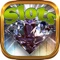 SLOTS Classic Casino: FREE Casino Game!