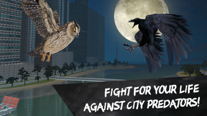 How to cancel & delete City Crow Simulator 3D from iphone & ipad 4