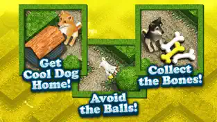 Captura de Pantalla 3 Cool Dog Mi Perrito Laberinto Juego Niños Gratis iphone