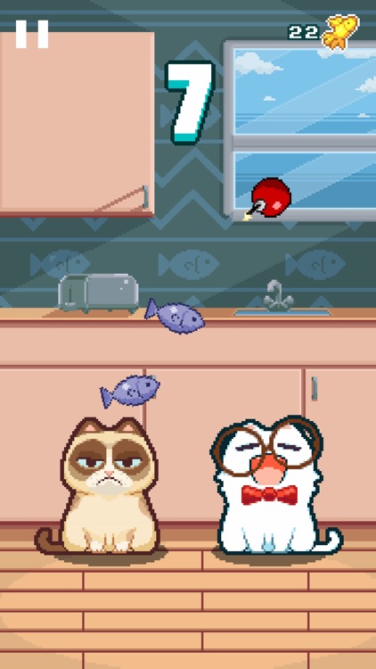 Nom Cat - Endless feeding frenzy arcade game screenshot-0