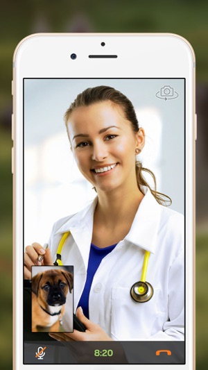 Petzam – Vet Video Call App