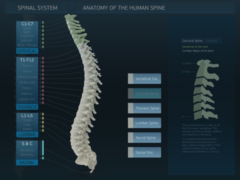Spinal System screenshot 3