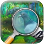 Missing Objects  Investigation