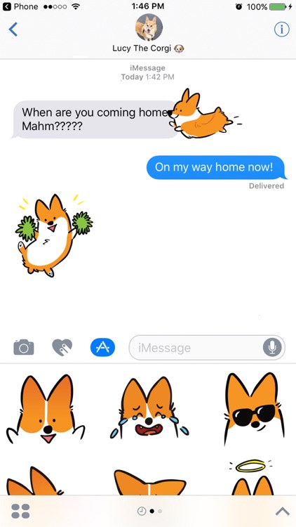 Corgimoji