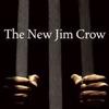 Quick Wisdom from The New Jim Crow:Practical Guide