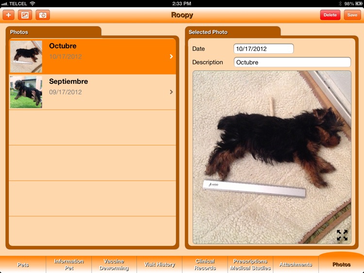 Pet's Veterinary Records screenshot-3