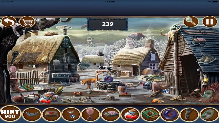 Treasure Mystery Island Hidden Object Games screenshot-3