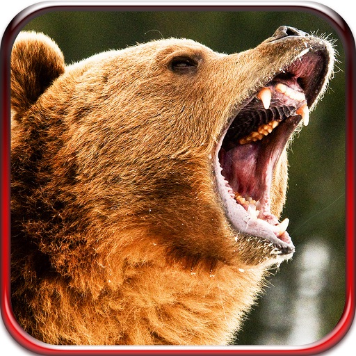 2016 Bear Hunter Pro Challenge - African Wilderness Deadly Black Bear Hunting Sniper Season icon
