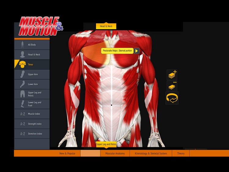 Muscle and Motion Anatomy