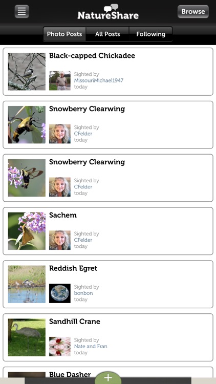 Audubon Bird Guide: Owls – Field Guide screenshot-4