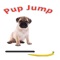 You are a pug on an adventure by jumping up several platforms, with a score increase as you get higher