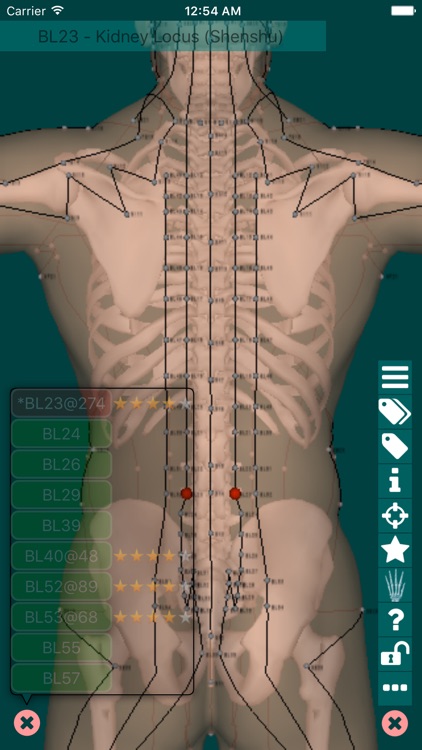 Massage Map 3D X-Ray
