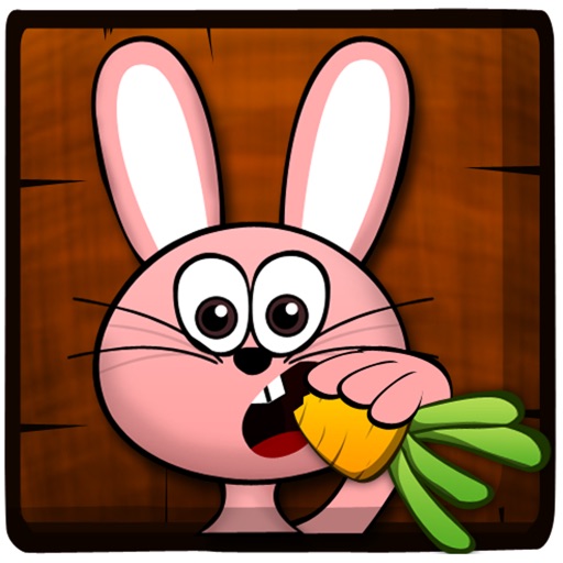 Ninja Rabbit Adventures icon