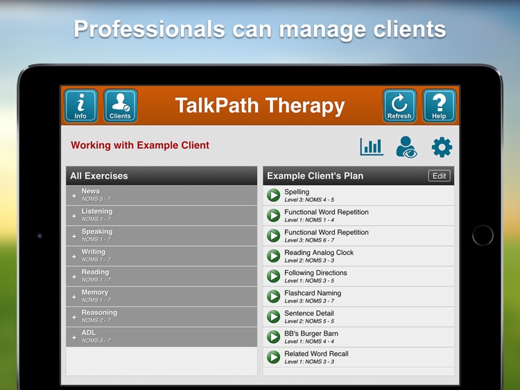 Lingraphica TalkPath Therapy