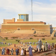 Activities of Temple AR