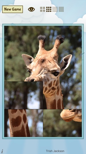 Animal Slide Image Puzzle(圖2)-速報App