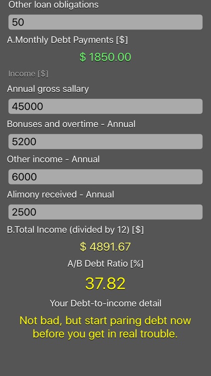 Debt 2 Income Calculator screenshot-3
